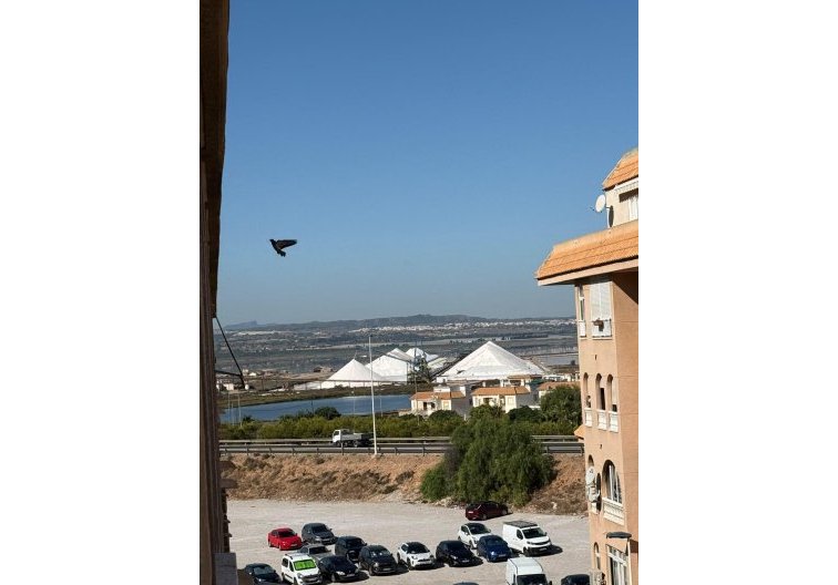 Wiederverkauf - Wohnung - Torrevieja - Parque De Las Naciones