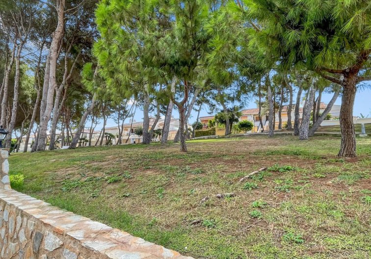 Segunda mano - Apartamento  - Mil Palmeras - Costa Blanca