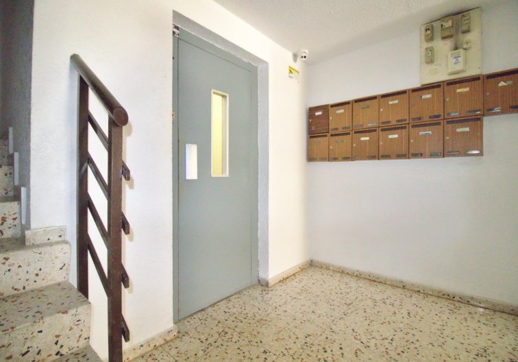 Segunda mano - Apartamento  - Alicante - Benalua