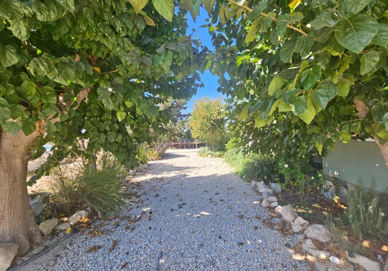 Revente - villa - Orihuela - Molins-campaneta-san Bartolomé