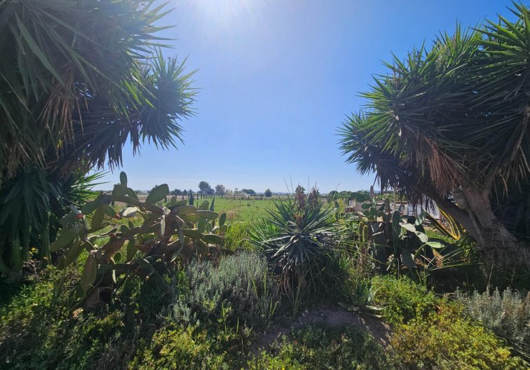 Revente - villa - Orihuela - Molins-campaneta-san Bartolomé