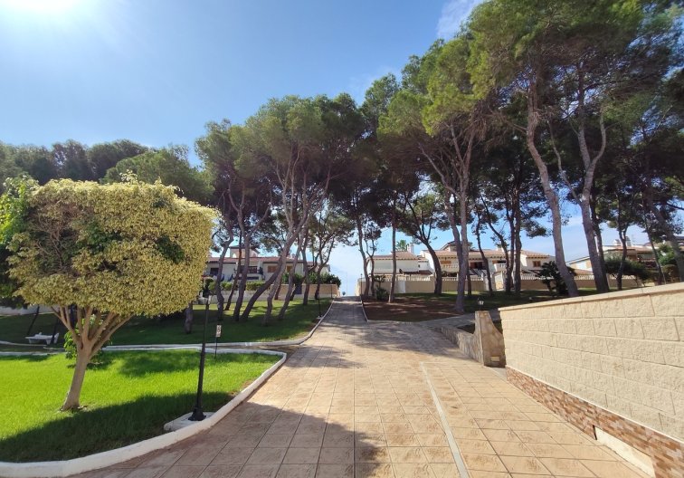 Segunda mano - Apartamento  - Mil Palmeras - Costa Blanca