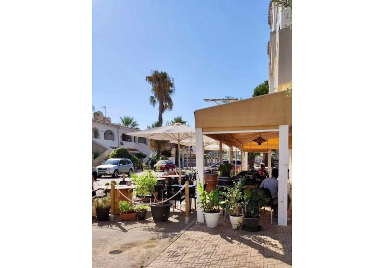 Revente - Appartement - Orihuela Costa - La Regia