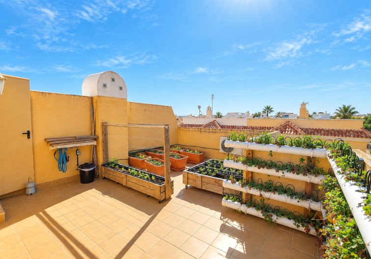 Revente - town house - Ciudad Quesada - Costa Blanca