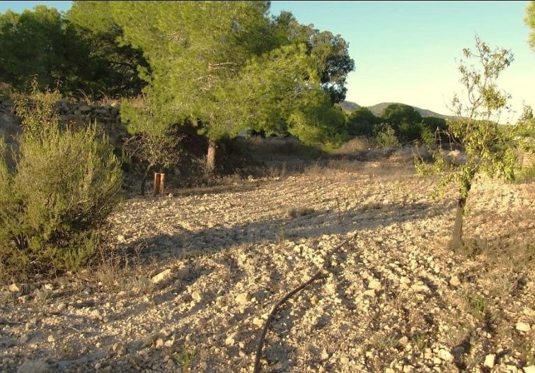 Segunda mano - Finca - Murcia - Inland