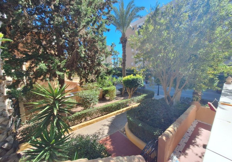 Herverkoop - Appartement - Torrevieja - Los Frutales