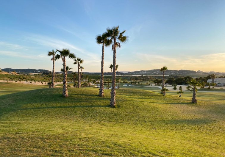 Resale - Apartment - Orihuela - Inland