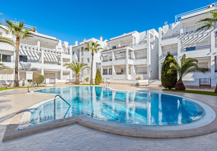 Segunda mano - Apartamento  - Torrevieja - Costa Blanca