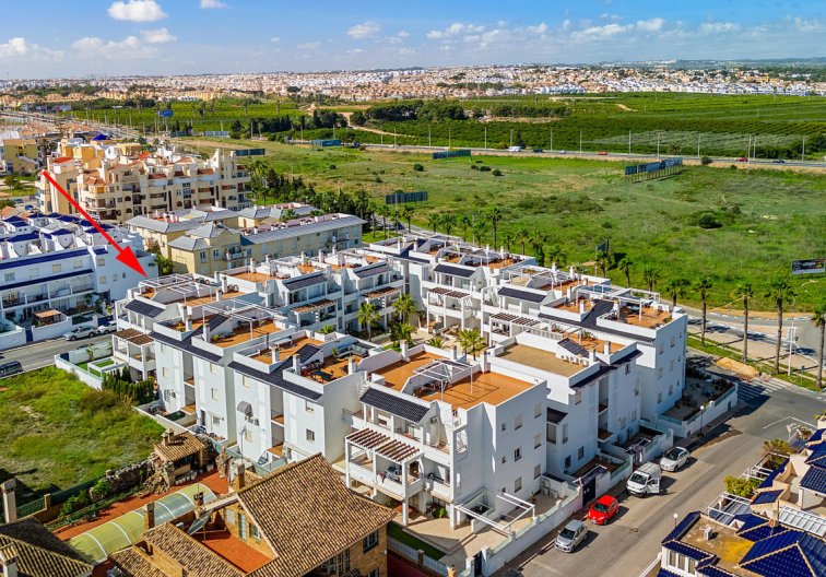 Segunda mano - Apartamento  - Torrevieja - Costa Blanca