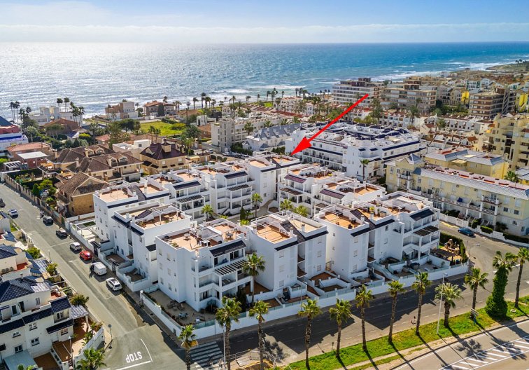 Segunda mano - Apartamento  - Torrevieja - Costa Blanca