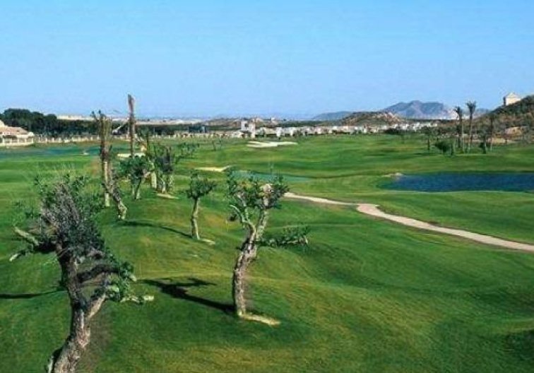 Obra Nueva - villa - Sucina - Peraleja Golf