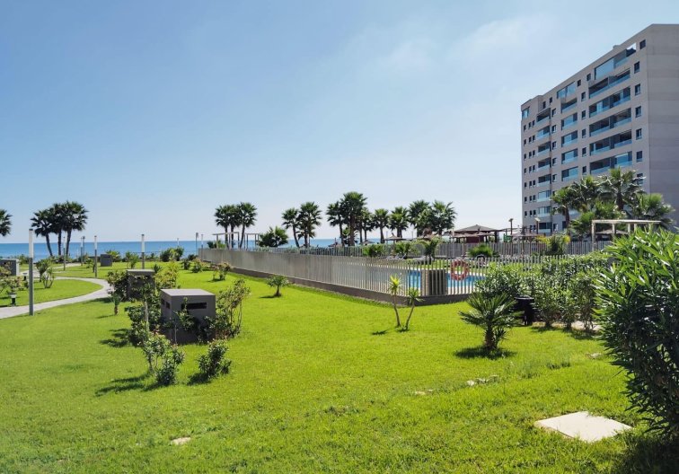 Wiederverkauf - Wohnung - Orihuela Costa - Punta Prima