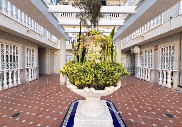 Resale - Apartment - Torrevieja - Playa de los Locos