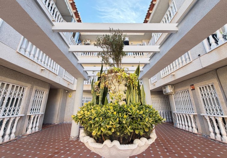 Resale - Apartment - Torrevieja - Playa de los Locos