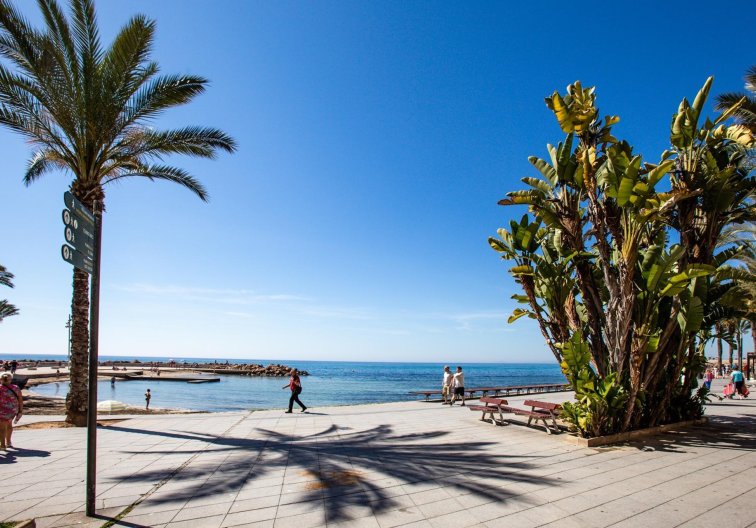 Resale - Apartment - Torrevieja - Playa del Cura