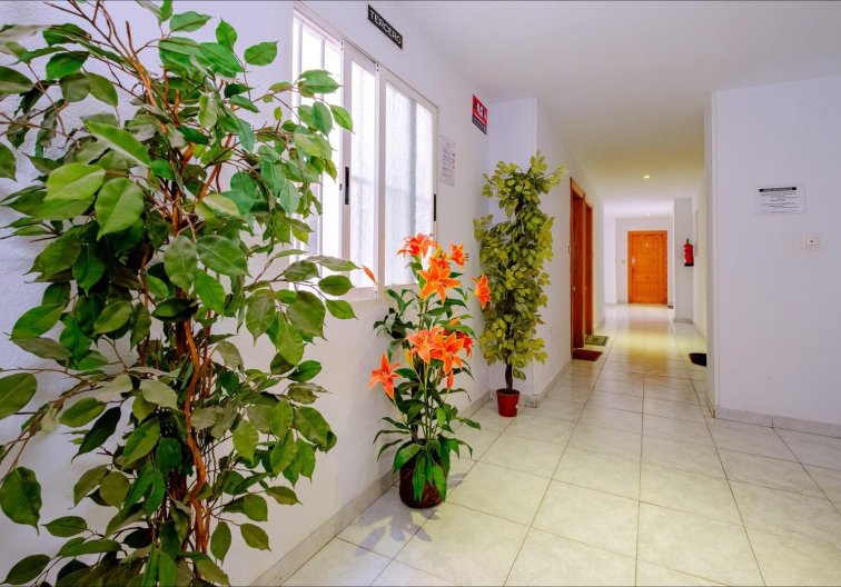 Resale - Apartment - Torrevieja - Playa del Cura