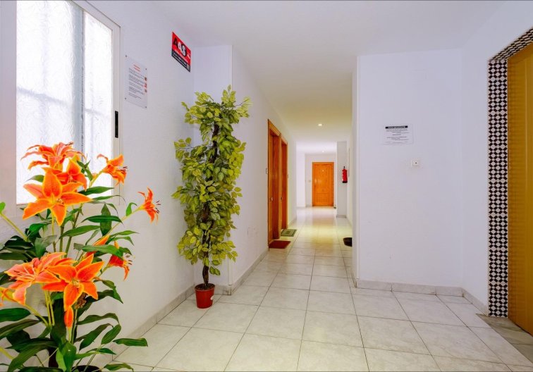 Resale - Apartment - Torrevieja - Playa del Cura