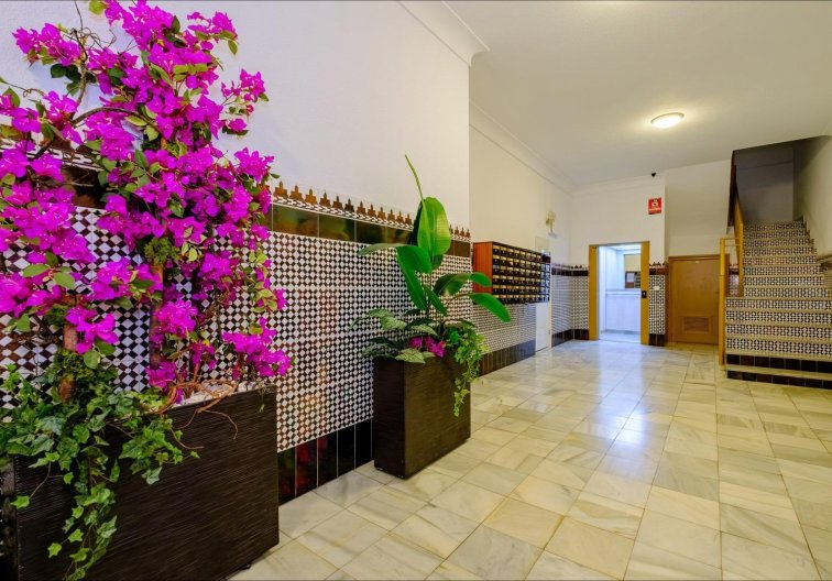 Resale - Apartment - Torrevieja - Playa del Cura
