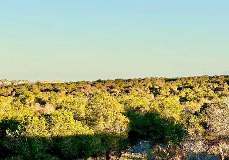 Wiederverkauf - town house - Torrevieja - La Siesta - El Salado - Torreta