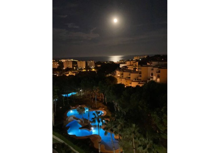Wiederverkauf - Wohnung - Orihuela Costa - Costa Blanca