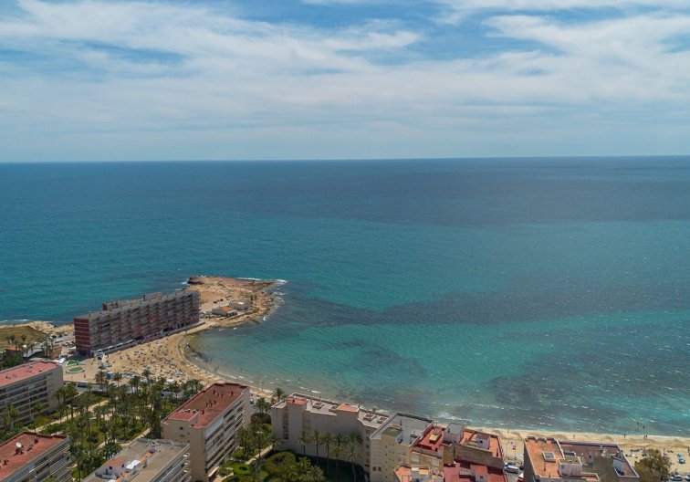 Segunda mano - Apartamento  - Torrevieja - Costa Blanca