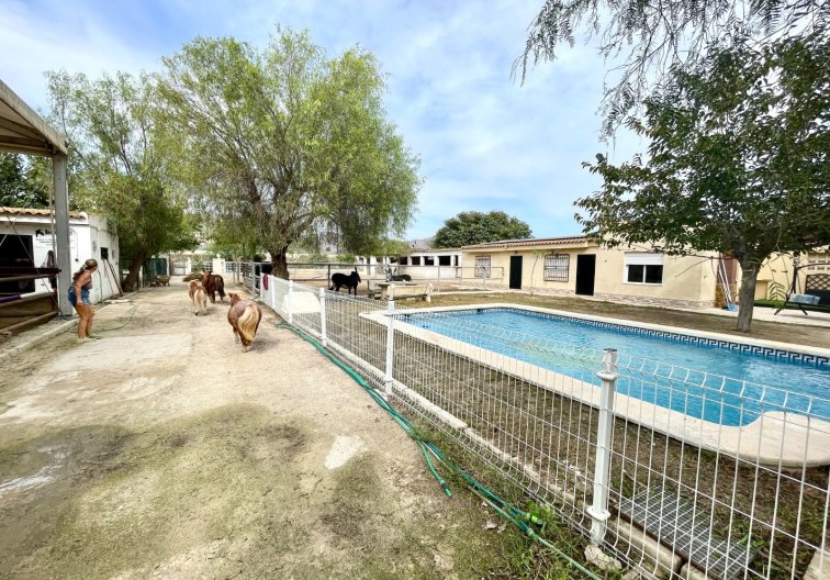 Wiederverkauf - Landhaus - Orihuela - Inland
