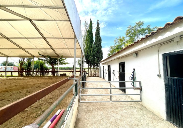 Wiederverkauf - Landhaus - Orihuela - Inland