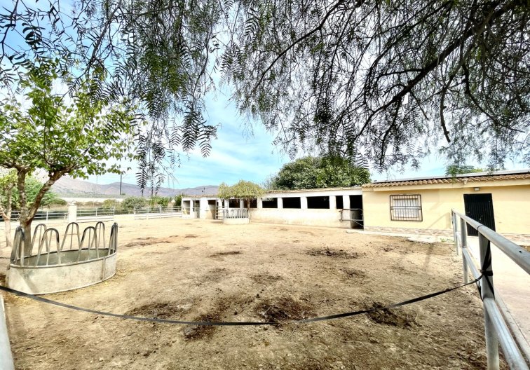 Wiederverkauf - Landhaus - Orihuela - Inland