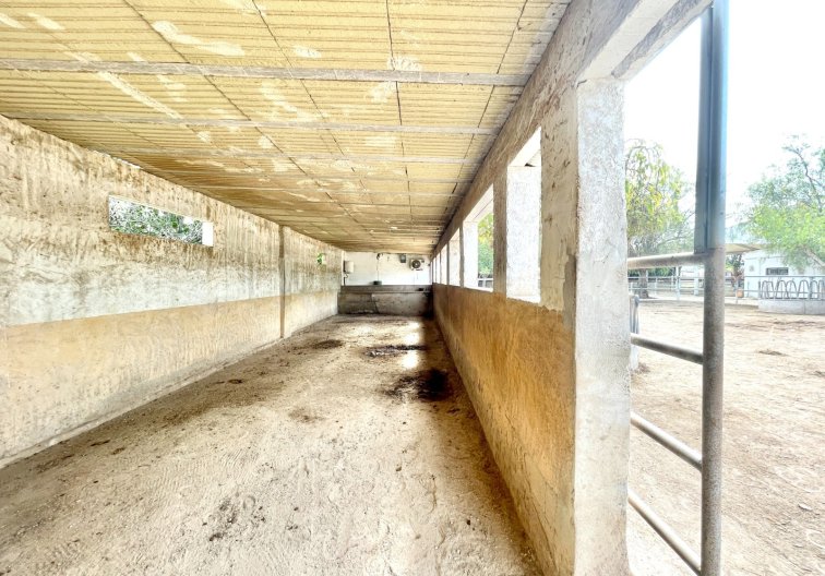 Wiederverkauf - Landhaus - Orihuela - Inland