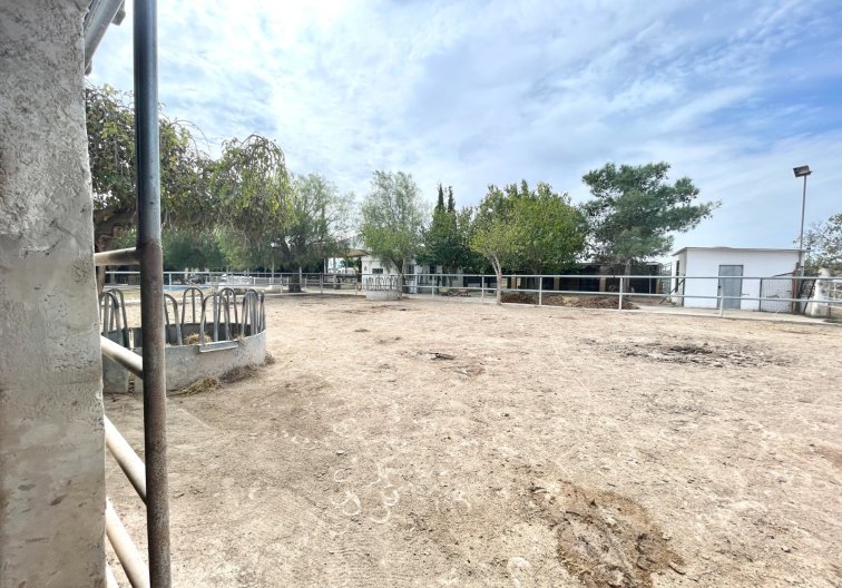 Wiederverkauf - Landhaus - Orihuela - Inland