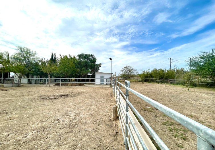 Wiederverkauf - Landhaus - Orihuela - Inland