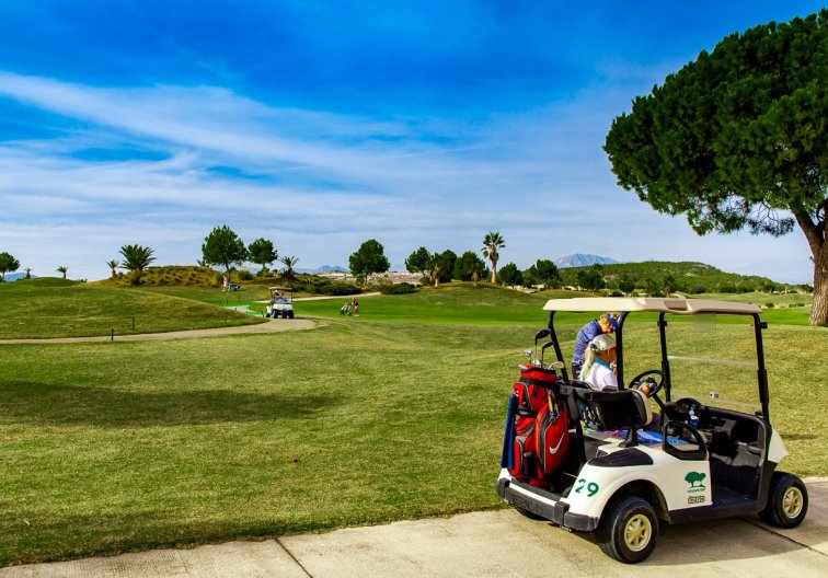 Wiederverkauf - Wohnung - Vistabella Golf Entre Naranjos - Inland