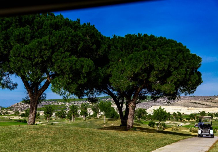 Wiederverkauf - Wohnung - Vistabella Golf Entre Naranjos - Inland