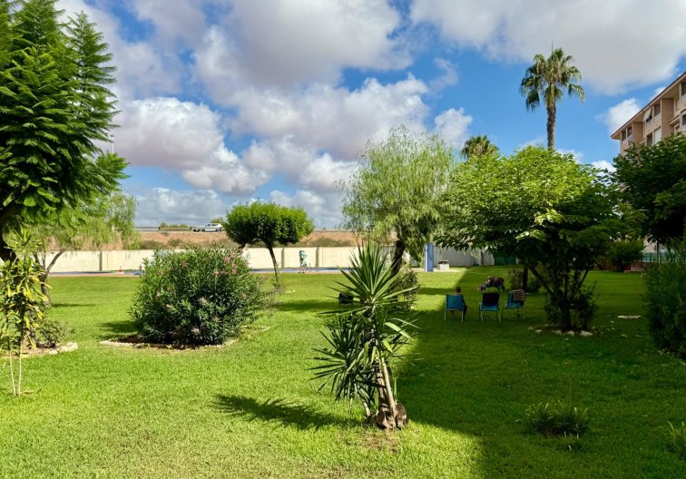 Wiederverkauf - Wohnung - Torrevieja - Parque De Las Naciones
