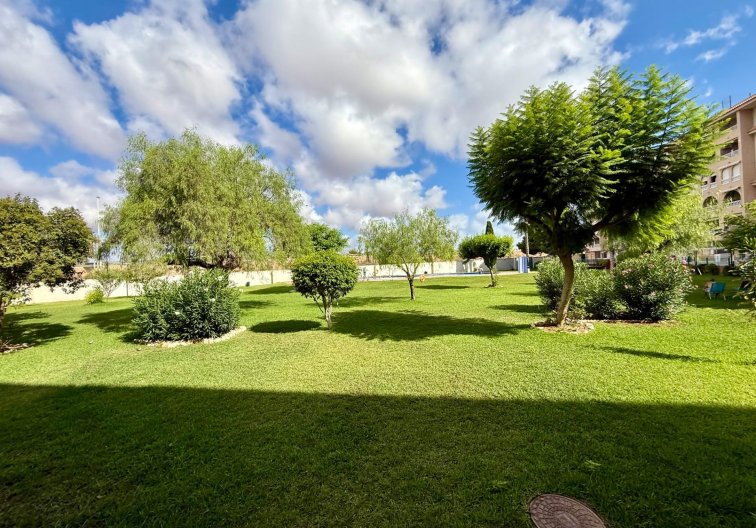 Wiederverkauf - Wohnung - Torrevieja - Parque De Las Naciones