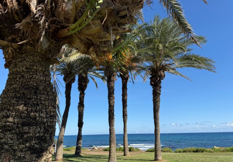 Resale - Apartment - Torrevieja - Costa Blanca