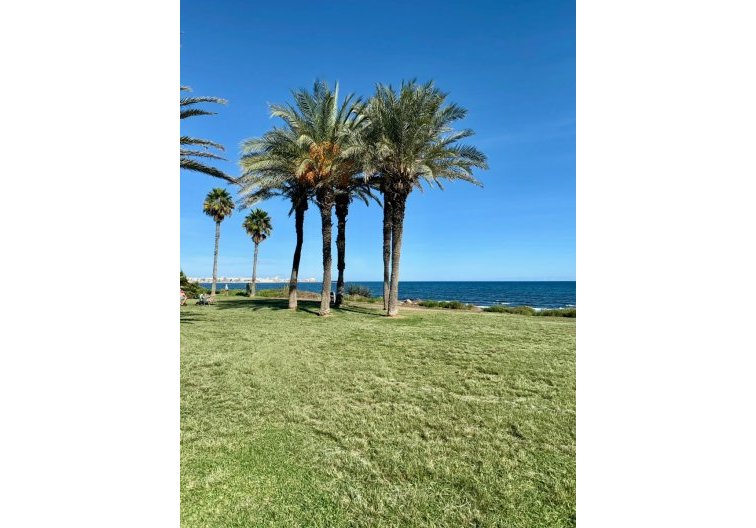 Resale - Apartment - Torrevieja - Costa Blanca