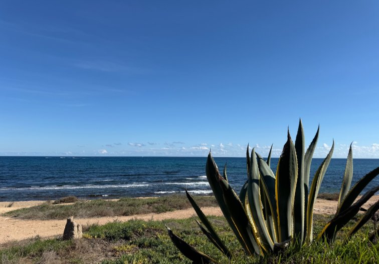 Resale - Apartment - Torrevieja - Costa Blanca