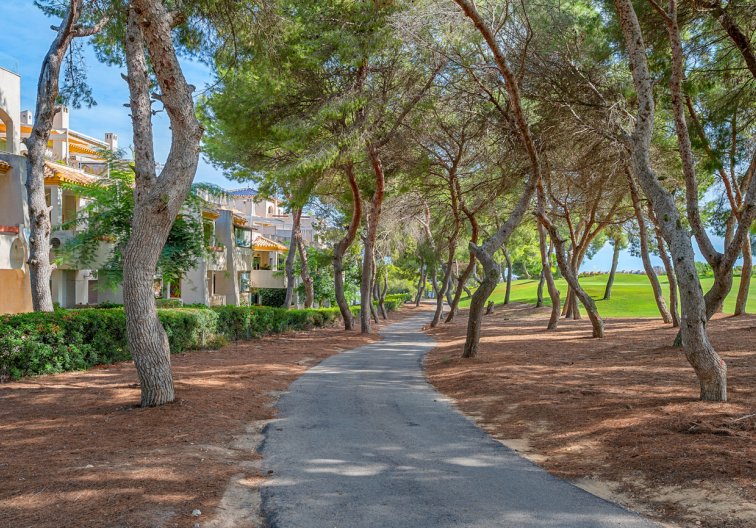Resale - Duplex Penthouse - Dehesa de Campoamor - Costa Blanca