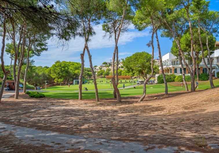 Resale - Duplex Penthouse - Dehesa de Campoamor - Costa Blanca