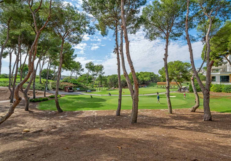 Resale - Duplex Penthouse - Dehesa de Campoamor - Costa Blanca