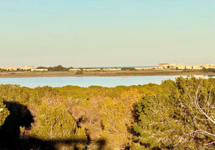 Segunda mano - town house - Torrevieja - Costa Blanca