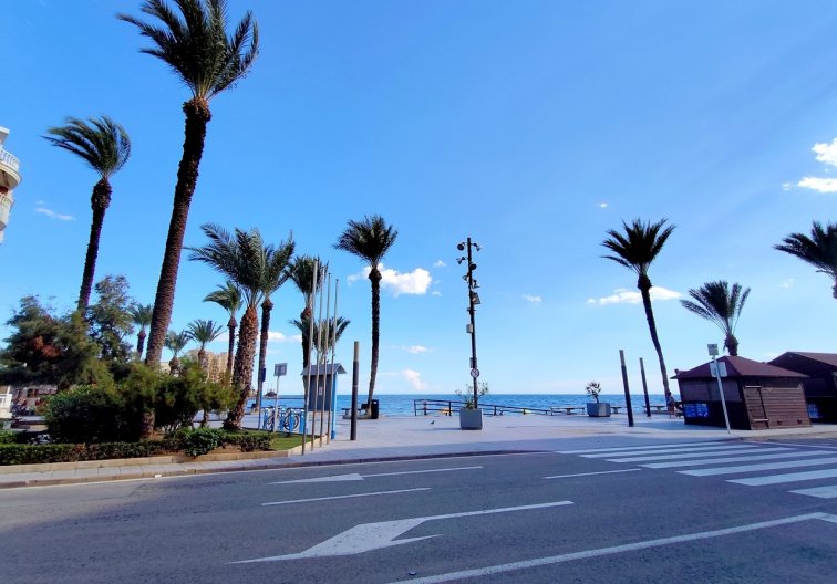 Segunda mano - Apartamento  - Torrevieja - Costa Blanca
