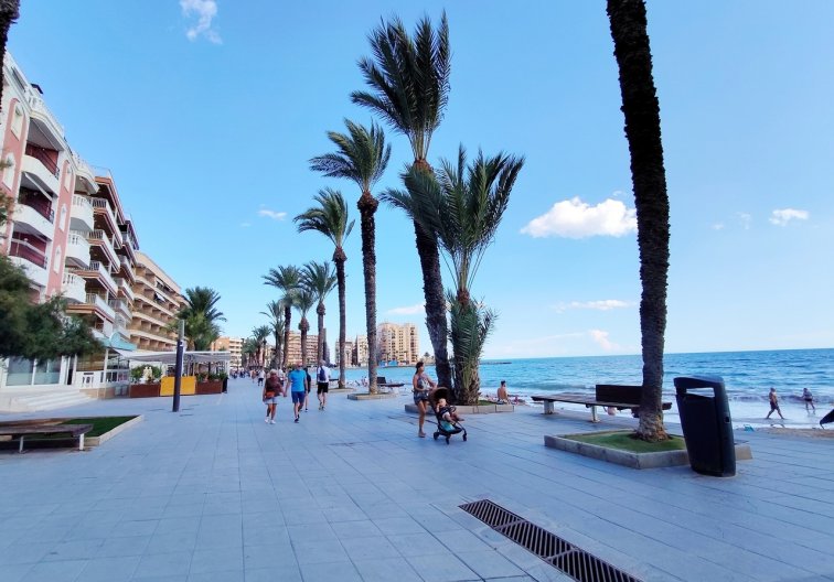 Segunda mano - Apartamento  - Torrevieja - Costa Blanca