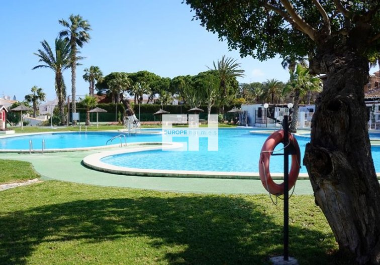 Segunda mano - Bungalow en planta baja - Torrevieja - Los Balcones - Lago Jardin