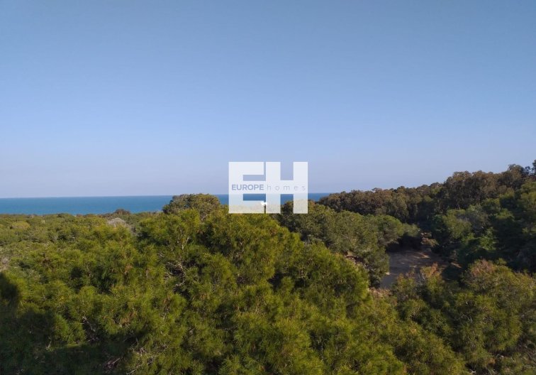 Obra Nueva - Apartamento  - Guardamar del Segura - Pueblo