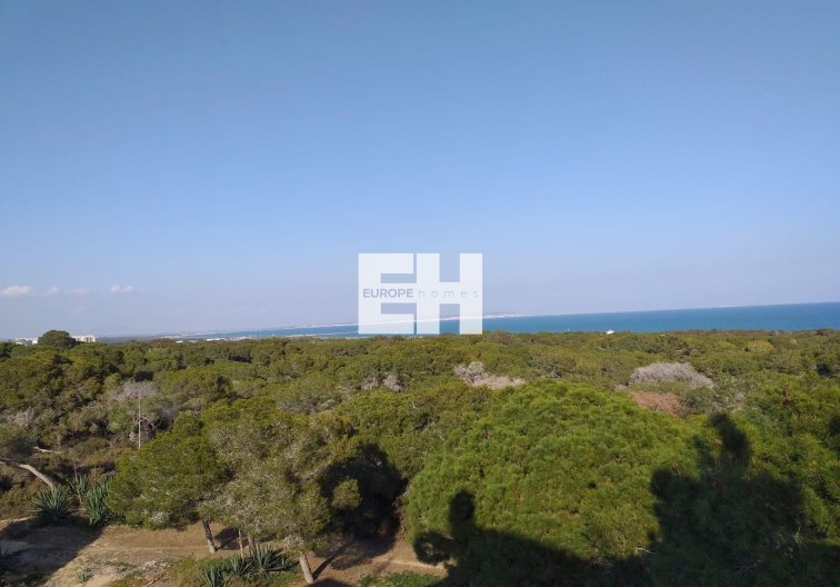 Obra Nueva - Atico - Guardamar del Segura - Pueblo