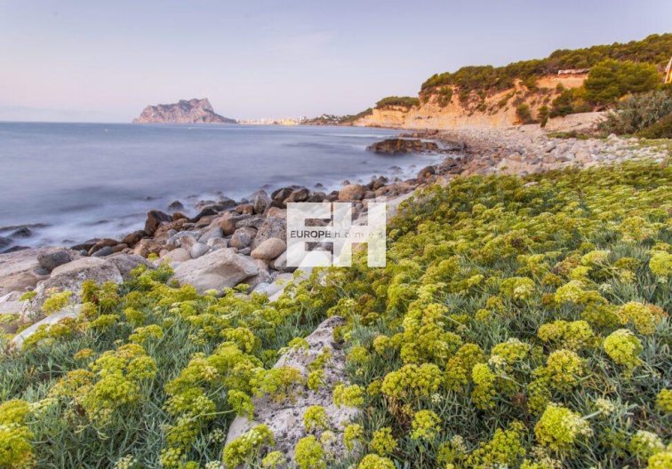 Obra Nueva - villa - Benissa - Cala Advocat