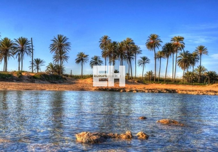 Neubau - Penthaus - Torrevieja - Playa de El Cura