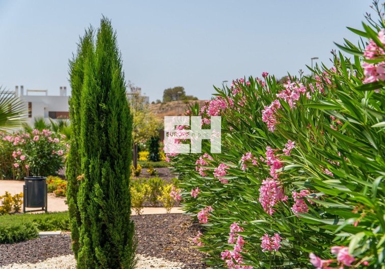 Neubau - town house - Orihuela - Vistabella Golf